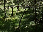 Torfowisko wysokie w Parku Narodowym Bory Tucholskie
